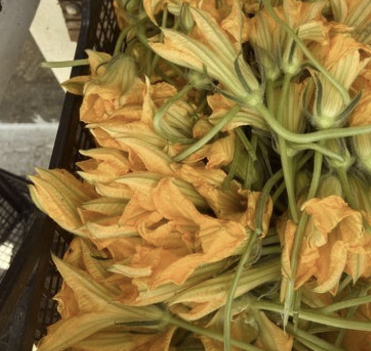 Golden squash blossoms in a market crate